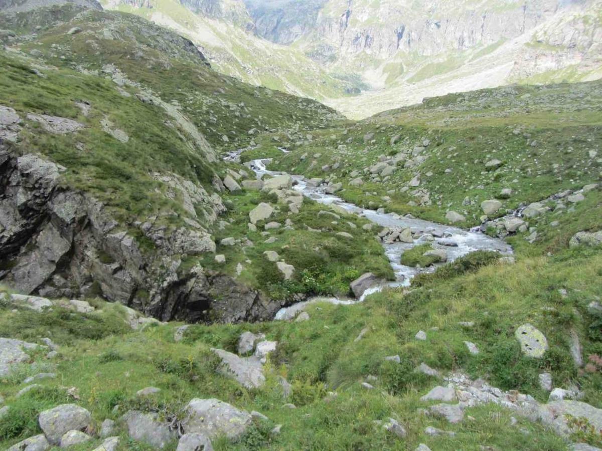 Bilocale A Due Passi Dal Gran Paradiso Locana ภายนอก รูปภาพ